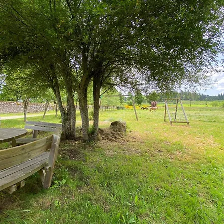 別荘 La Borie Maisonnette De Charme En Pierres 80m2 Chenereilles